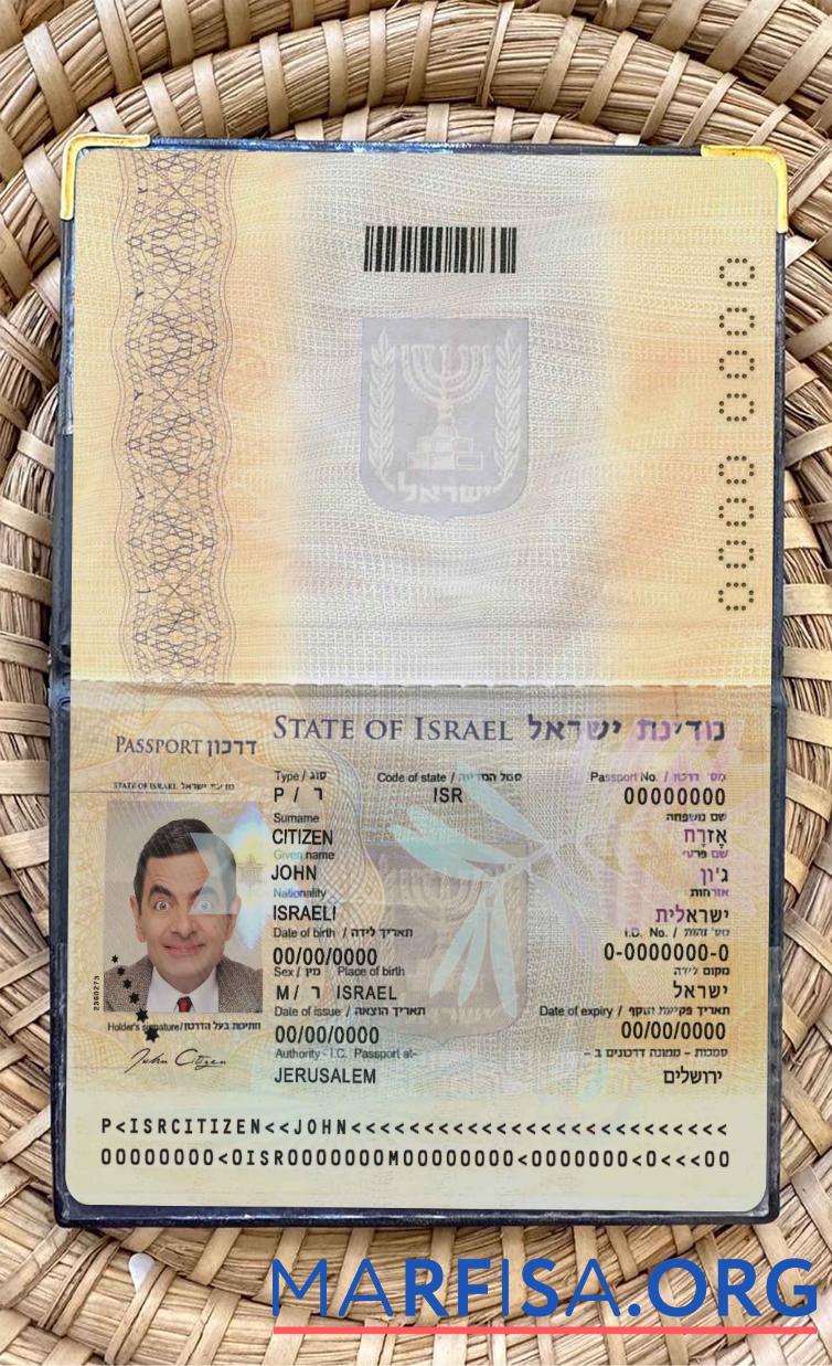 Realistic Israel pass (2012 present) photo look template